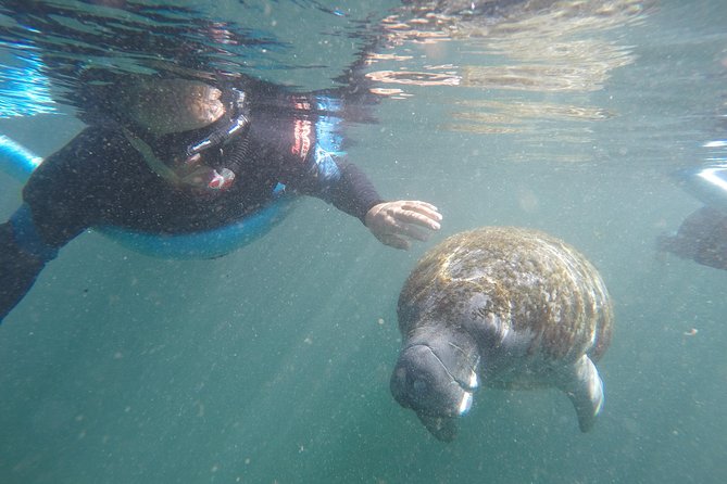 Guided Small Group Manatee Snorkeling Tour with In-Water Photographer - Key Points Before You Go
