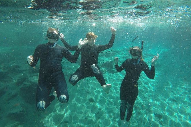 Guided Small Group Manatee Snorkeling Tour with In-Water Photographer - Getting In and Out: The Ladder Detail You Should Not Skip