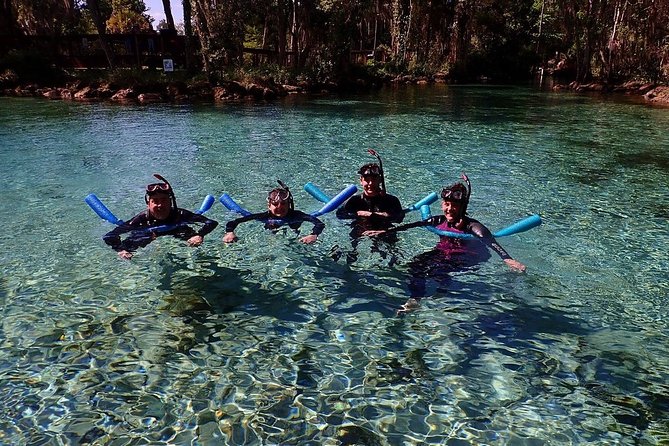 Guided Small Group Manatee Snorkeling Tour with In-Water Photographer - The 3-Hour Plan, Step by Step (and What Each Part Feels Like)