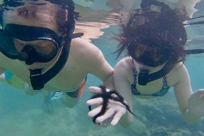 Guided Snorkel Tour for Beginners in Honolulu - Videos Included: Why This Small Detail Is Big Value