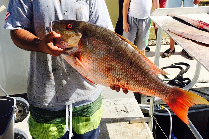 Half-Day Fishing Trip in Fort Lauderdale - Boat ride comfort: rough seas, sea sickness, and basic amenities