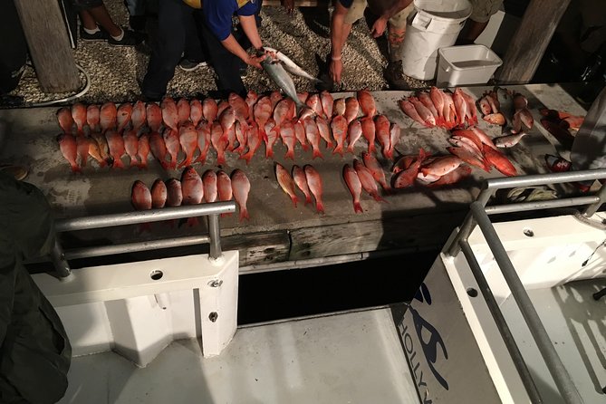 Half-Day Fishing Trip in Fort Lauderdale - What the 4-hour trip feels like on the water