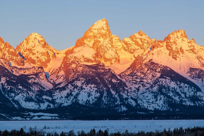 Half Day Grand Teton Wildlife Safari Tour - Price and Value: What the $170 Includes, and What Costs Extra