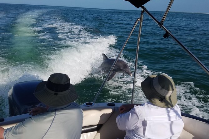 Half-Day Private Boating On Black Hurricane - Clearwater Beach - Three Rooker Island Sand Bar: The Longest Stop for Shelling and Floating (About 2 Hours)