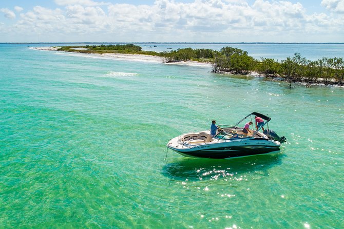 Half-Day Private Boating On Black Hurricane - Clearwater Beach - Cruising North: What You Might See and How to Enjoy the Ride