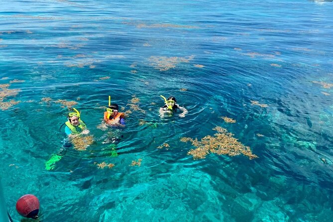 Half Day Snorkel Trip on Reefs in the Florida Keys - Catamaran Snorkel From Key Largo, Built for Beginners and Real Reef Time
