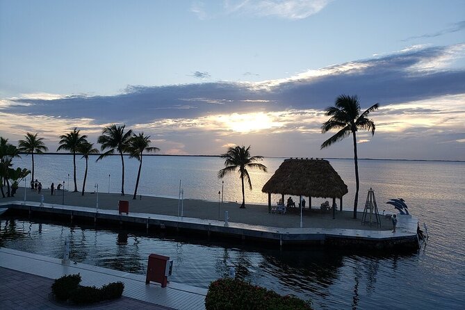 Half Day Snorkel Trip on Reefs in the Florida Keys - Molasses Reef and the Reef Stop Mix: Why It’s Not Just One Pool