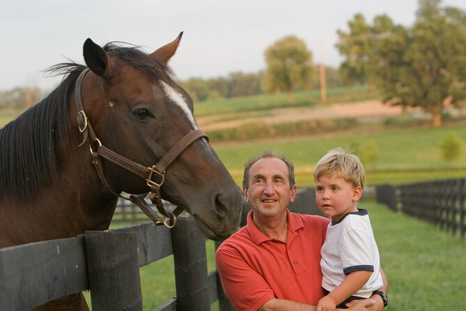Half-Day Thoroughbred Horse Farm Tour in Kentucky - Price and Value: Why $45 Can Feel Like a Lot or a Fair Deal