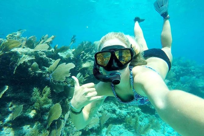 Half-Day Trip from Key West with Kayaking, Snorkeling & Sunset - Florida Keys National Marine Sanctuary snorkeling: what to expect