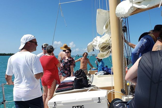 Half-Day Trip from Key West with Kayaking, Snorkeling & Sunset - Mangrove kayaking in sea kayaks: easy paddling, real wildlife
