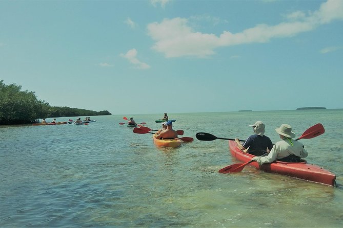 Half-Day Trip from Key West with Kayaking, Snorkeling & Sunset - Getting started at 255 Front St and the sailing portion