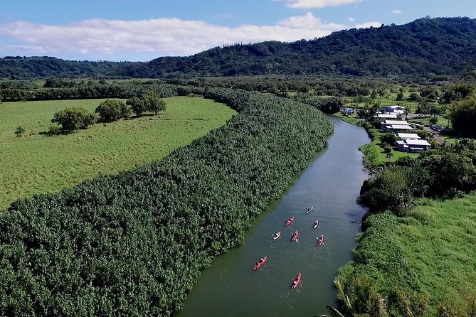 Hanalei Bay Morning Kayak and Snorkel Tour - Moving Into Hanalei Bay, Where Wildlife Is the Main Event