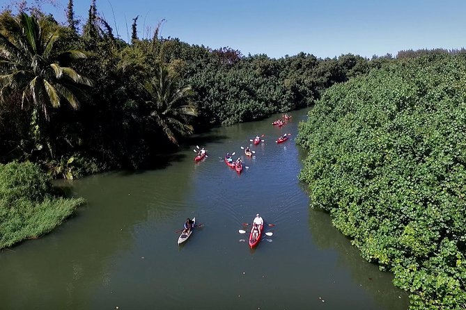 Hanalei Bay Morning Kayak and Snorkel Tour - Who This Tour Is Perfect For, and Who Should Rethink It