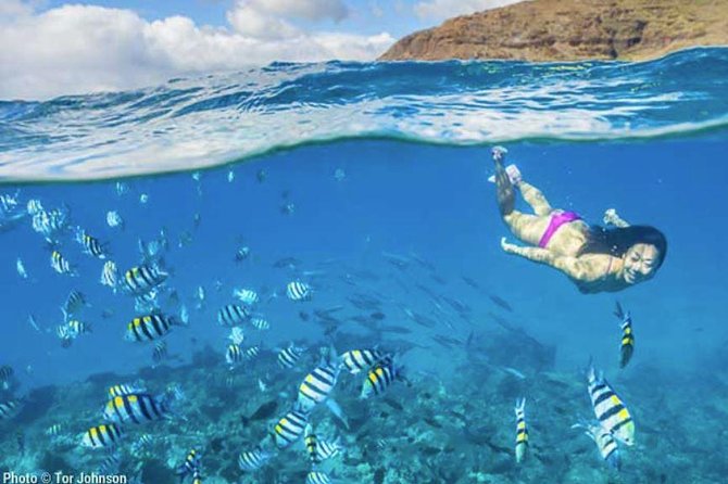 Hanalei River Paddle and Bay Snorkel Tour with Lunch - Price check: is $155 per person good value?