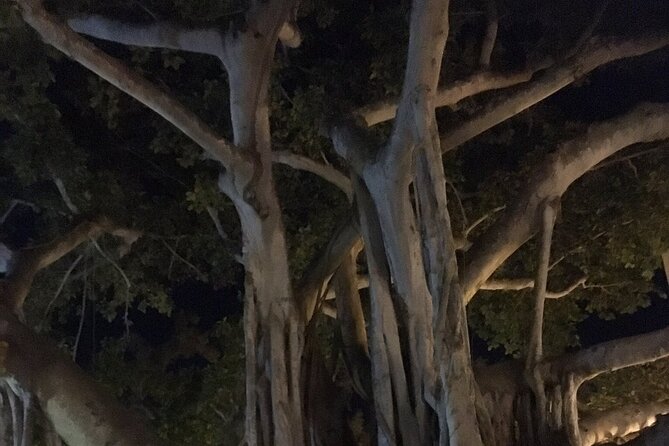 Haunted History of Fort Myers Walking Tour - Stop: Florida Repertory Theatre and its haunted lore