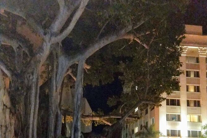 Haunted History of Fort Myers Walking Tour - Stop: The Indigo Room and reputed paranormal activity