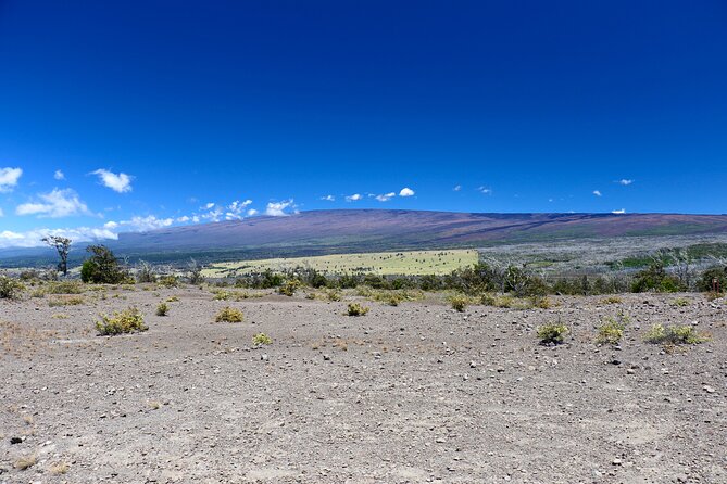 Hawaii Volcanoes National Park and Hilo Highlights Small Group Tour - Snacks, bottled water, and the no-lunch reality