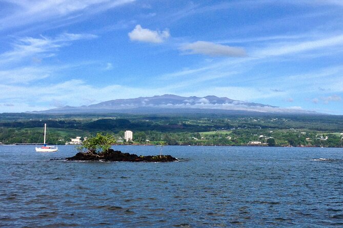 Hawaii Volcanoes National Park and Hilo Highlights Small Group Tour - The guide makes or breaks the experience