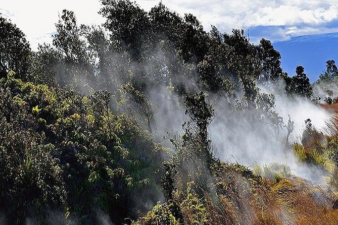 Hawaii Volcanoes National Park Experience Departing from Oahu - Greenwell Farms: Kona Coffee Starts the Day Strong