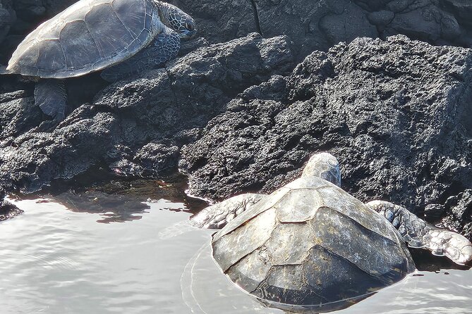 Hawaii Volcanoes, Waterfalls, Beaches & Hilo Highlights Day Tour - Liliʻuokalani Gardens: Tide Pools, Bird Spotting, and a Short, Calm Break