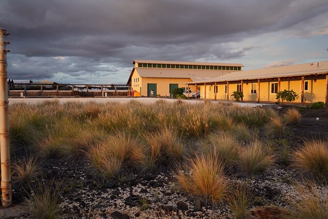 Hawaiian Salt Farm Tour in Kona - Optional Foot Soak: Cold, Quick, and Mineral Talk