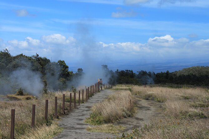 Hilo Shore Excursion: Active Volcano, Lava Tube, Waterfall and Gardens - Chain of Craters Road: frozen lava fields and crater peeks