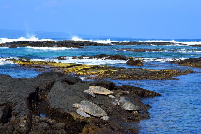Hilo Shore Excursion: Volcanoes National Park & Black Sand Beach - How this tour actually feels from port to port