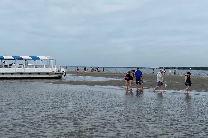 Hilton Head Dolphin Tour with Stop at Disappearing Island - Timing and wildlife reality check (the part that keeps it honest)