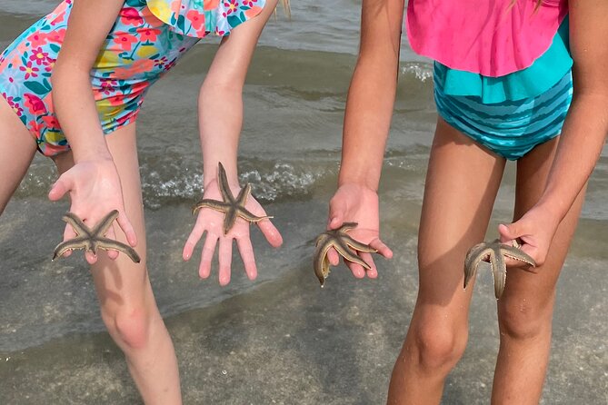 Hilton Head Dolphin Tour with Stop at Disappearing Island - What 2 hours on the water feels like (and why it works)