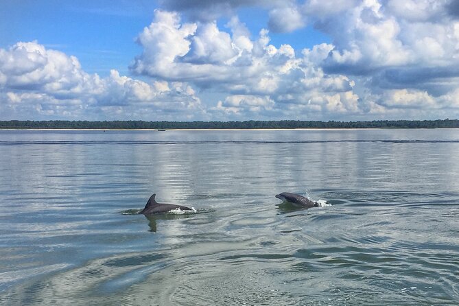 Hilton Head Island Dolphin Boat Cruise - Key Highlights That Matter on the Water