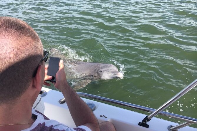Hilton Head Island Dolphin Boat Cruise - Price and Value: How $39.99 Adds Up for What You Get