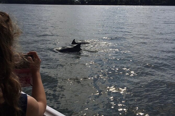 Hilton Head Island Dolphin Boat Cruise - Picking the Right Departure Time on Hilton Head