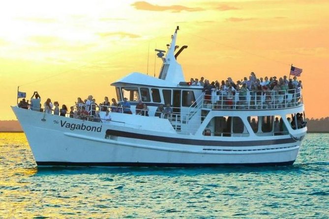 Hilton Head Island Ocean Dolphin Cruise - Onboard Comfort, Heat, and How the Crew Runs the Boat