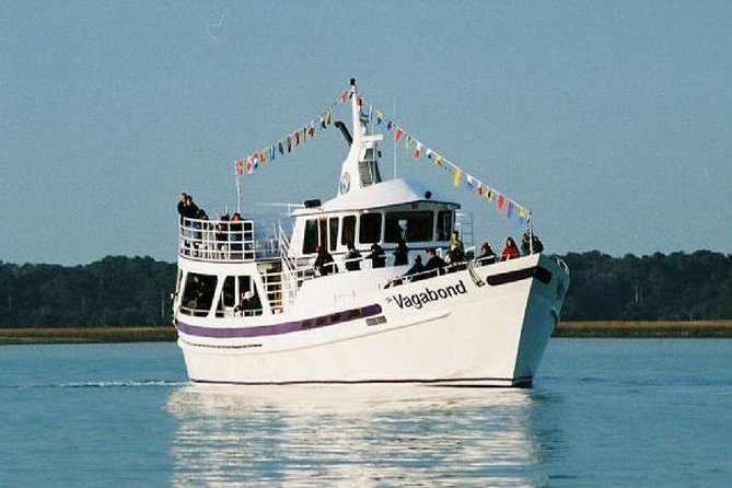 Hilton Head Island Ocean Dolphin Cruise - Meeting Under Harbour Town Lighthouse Without Stress