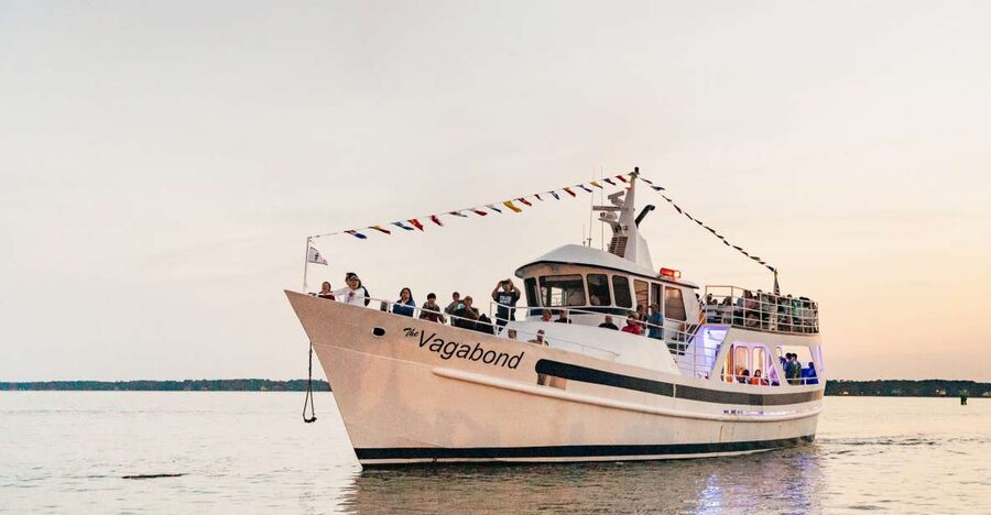 Hilton Head Island: Sunset Dolphin Cruise - Quick reasons to book this Hilton Head sunset dolphin cruise
