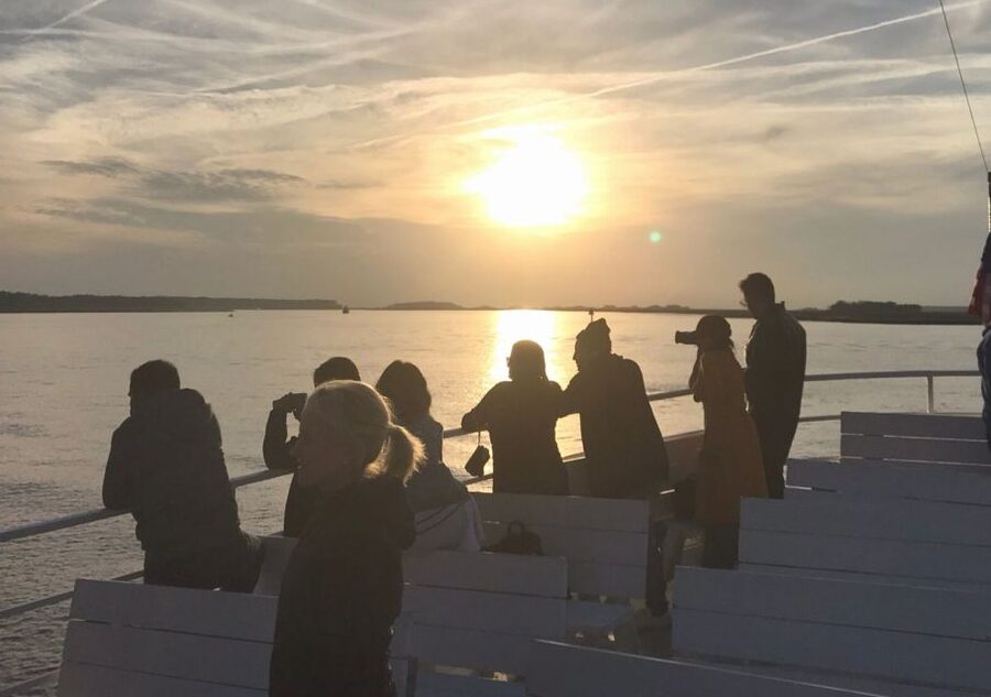 Hilton Head Island: Sunset Dolphin Cruise - Hilton Head Island sunset dolphin cruise on Vagabond: value in 90 minutes