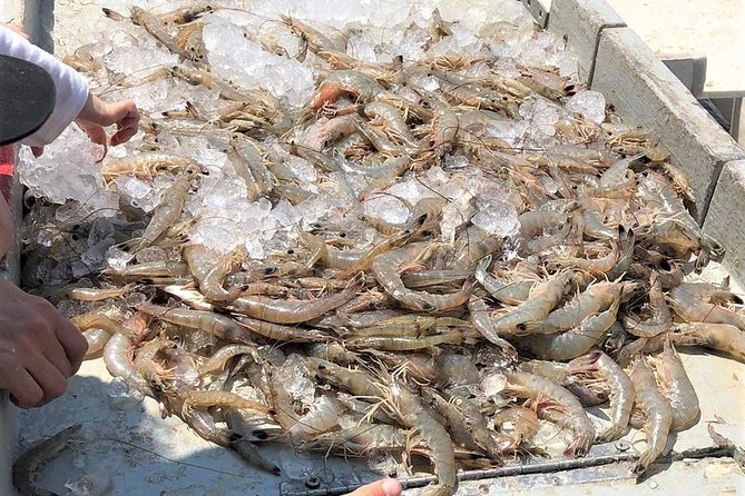 Hilton Head Shrimp Trawling Boat Cruise - Boarding the open-aired Tammy Jane for a 2-hour trawl