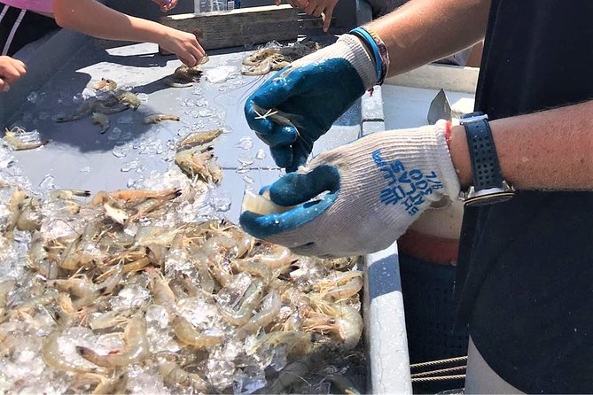 Hilton Head Shrimp Trawling Boat Cruise - Price and value: is $50 a fair deal?