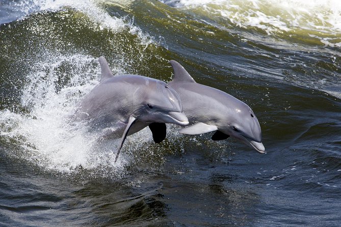 Hilton Head Sunset Dolphin Watching Cruise - Haig Point lighthouse at nightfall, and how to plan your photo moment