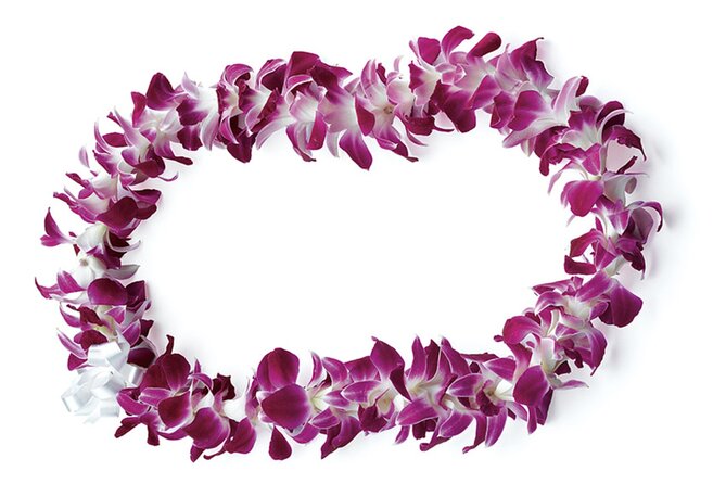 Honolulu Airport: Waikiki Private Transfer With Lei Greeting - The private ride to Waikiki: comfort, safety, and no detours