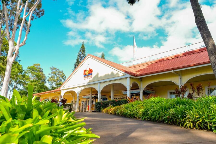 Honolulu: Oahu Island Full-Day Guided Tour by Bus with Lunch - North Shore Surf Beaches: Seeing the Big Names Without the Car