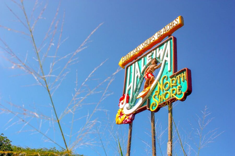 Honolulu: Oahu Island Full-Day Guided Tour by Bus with Lunch - Waimea Valley And Waimea Falls: Walk, Learn, And Swim If You Want