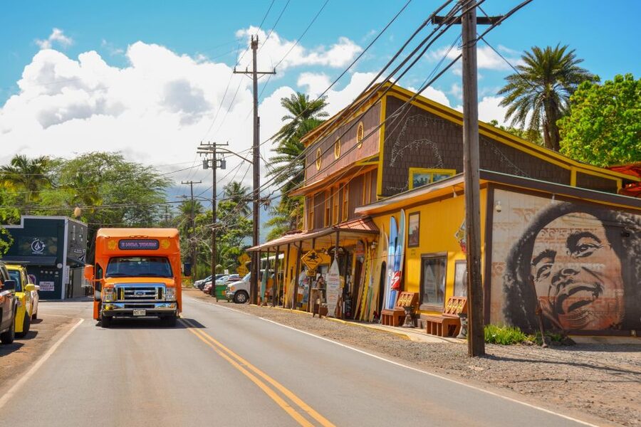 Honolulu: Oahu Island Full-Day Guided Tour by Bus with Lunch - Dole Plantation: Iconic, Convenient, And Sometimes Add-On Heavy