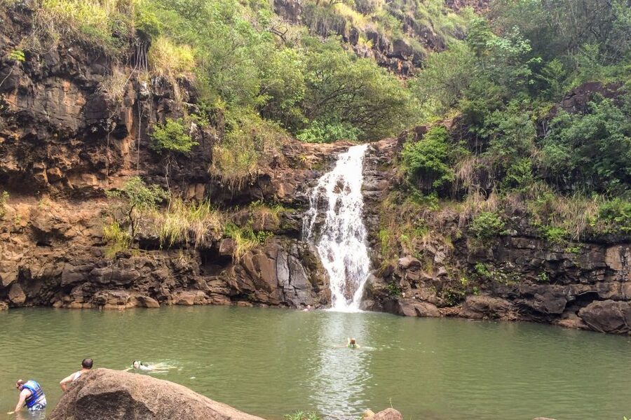 Honolulu: Oahu Island Full-Day Guided Tour by Bus with Lunch - Bus Comfort, Route Timing, And What To Pack