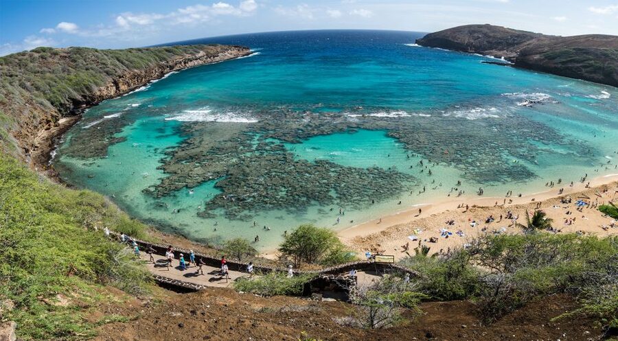 Honolulu: Oahu Island Highlights Tour with Multiple Stops - Hukilau Marketplace at Polynesian Cultural Center: Where Lunch Options Feel Local