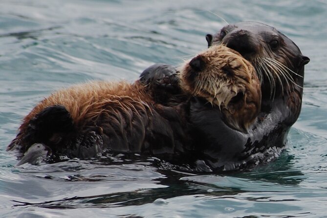Hoonah Whale-Watching Cruise - Near Icy Strait Point - Logistics That Can Make or Break Your Day