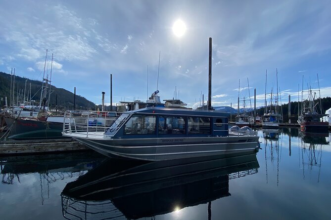 Hoonah Whale-Watching Cruise - Near Icy Strait Point - The 3-Hour Experience Flow, and What Each Moment Is For