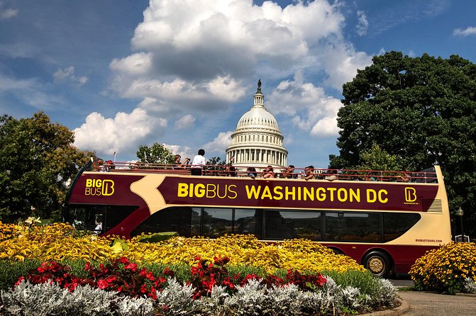 Hop-on Hop-off Sightseeing Tour by Open-top Bus with 18 Stops - Tickets, passes, and how to hop without wasting daylight