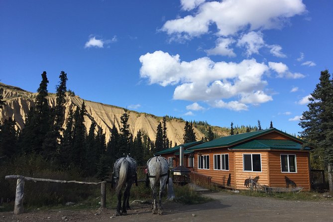 Horse-Drawn Covered Wagon Ride with Backcountry Dining - Price and Value: $112.25 for Wagon Ride, Transport, and Dining