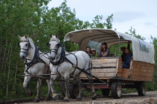 Horse-Drawn Covered Wagon Ride with Backcountry Dining - Who Should Book This Wagon Tour Best